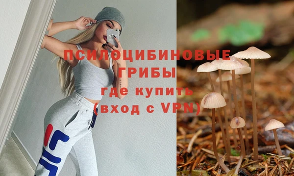 гидропоника Армянск