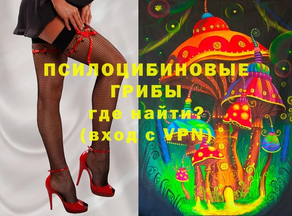 амф Арсеньев