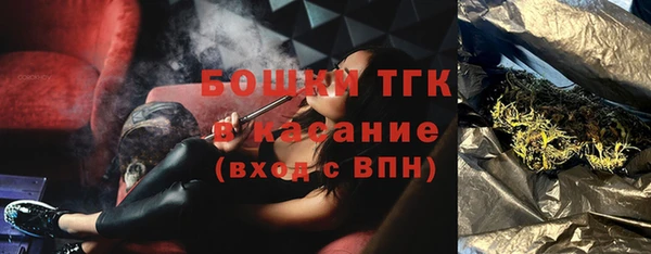 молекула духа Пестово