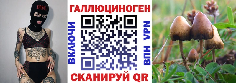 как найти закладки  ссылка на мегу сайт  Псилоцибиновые грибы GOLDEN TEACHER  Сенгилей 