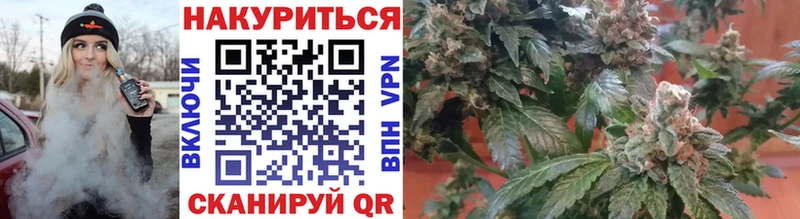 Каннабис SATIVA & INDICA  сколько стоит  omg   Сенгилей 